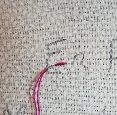 Enp1